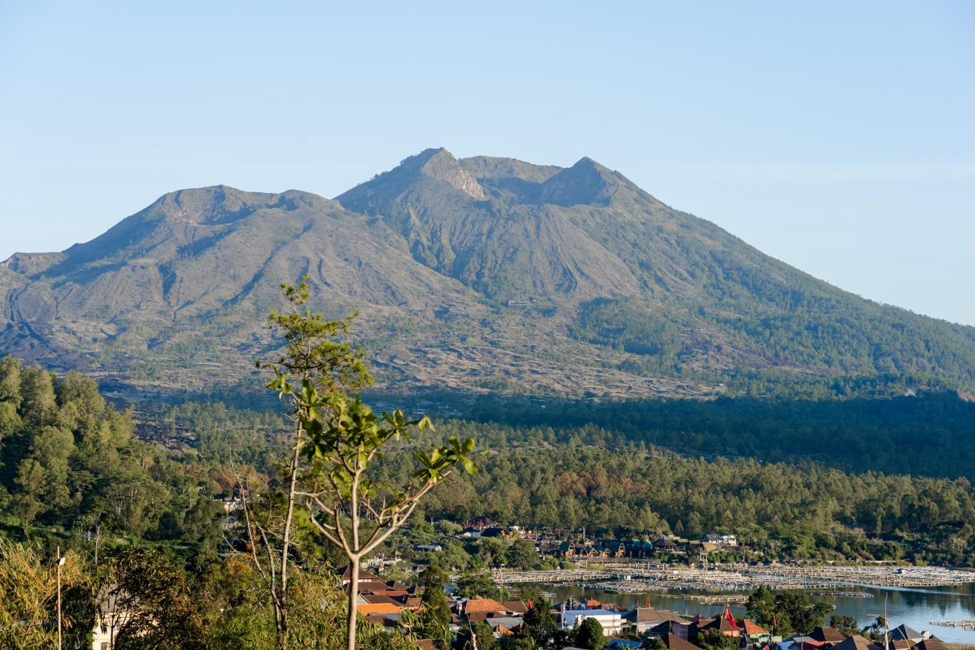 कैम्पिंग की जगह Samuh Camp Kintamani (Bali)